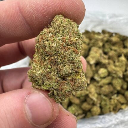 Stardawg Strain