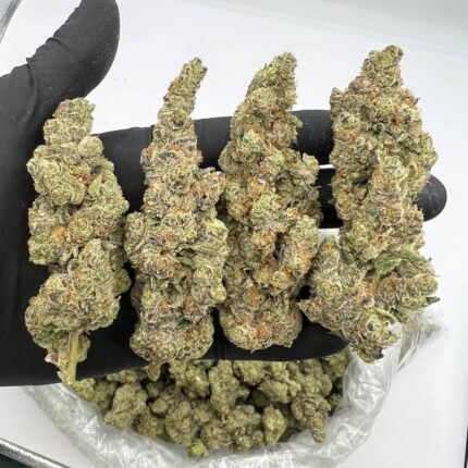White Widow Strain