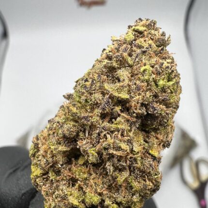 Blueberry Strain
