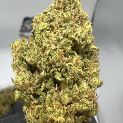 Super Silver Haze