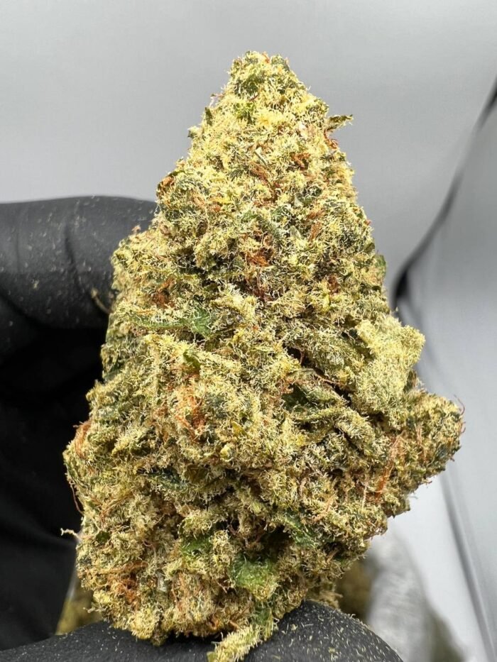 Master Kush