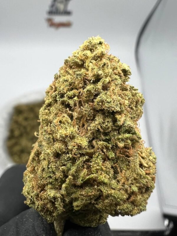 Durban Poison