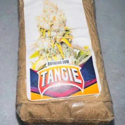 TANGIE HASH